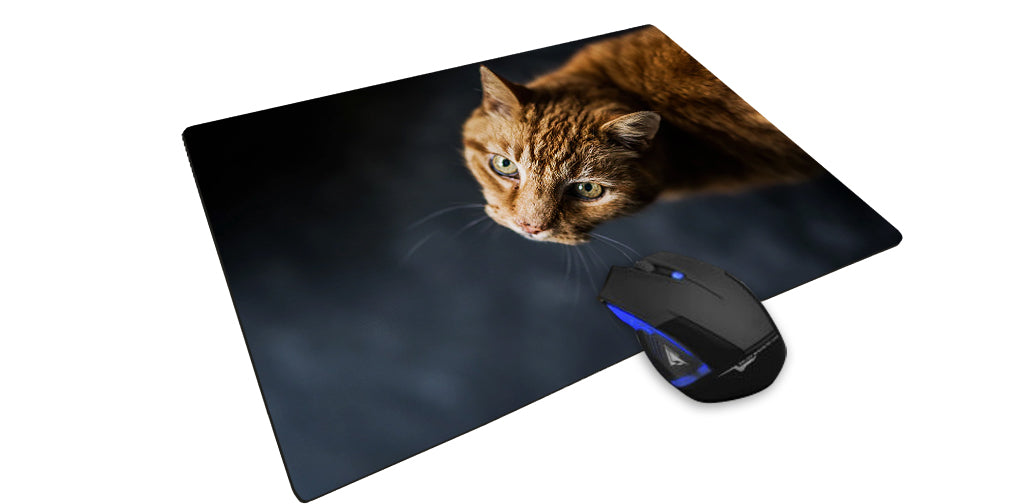Mouse pad